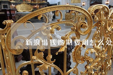 新浪借钱逾期费用怎么处理 新浪借钱逾期费用怎么处理