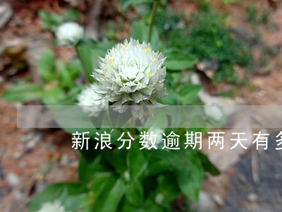 新浪分数逾期两天有多大影响 新浪分数逾期两天有多大影响
