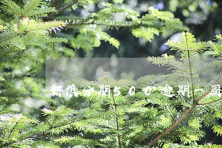 新浪分期500逾期一周 新浪分期500逾期一周