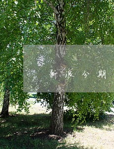 新浪分期两次逾期1天 新浪分期两次逾期1天