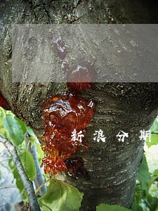 新浪分期借款7000逾期会怎样 新浪分期借款7000逾期会怎样