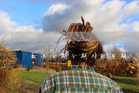 新浪分期分期付款逾期 新浪分期分期付款逾期