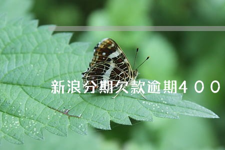 新浪分期欠款逾期400天 新浪分期欠款逾期400天