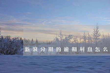 新浪分期的逾期利息怎么算 新浪分期的逾期利息怎么算