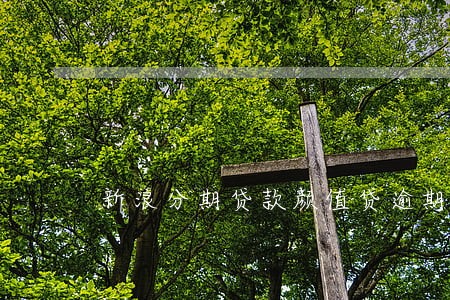 新浪分期贷款颜值贷逾期 新浪分期贷款颜值贷逾期