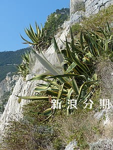 新浪分期逾期一天是不是还能借款 新浪分期逾期一天是不是还能借款
