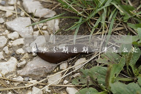 新浪分期逾期一年怎么处理 新浪分期逾期一年怎么处理
