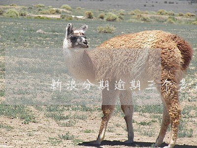 新浪分期逾期三个多月 新浪分期逾期三个多月