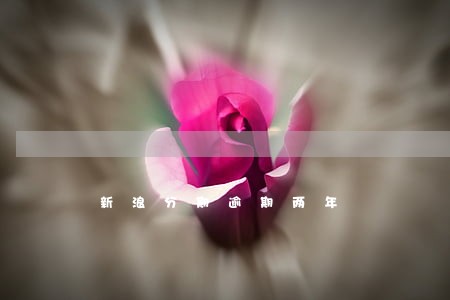 新浪分期逾期两年