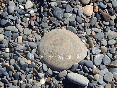 新浪分期逾期为什么不打电话 新浪分期逾期为什么不打电话