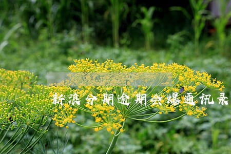 新浪分期逾期会爆通讯录吗 新浪分期逾期会爆通讯录吗