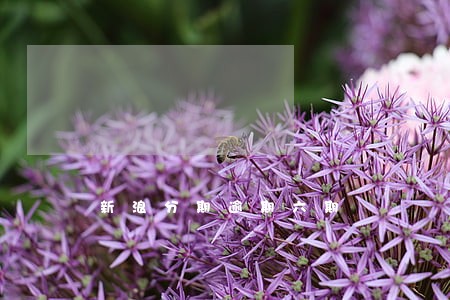 新浪分期逾期六期 新浪分期逾期六期