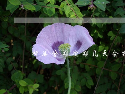 新浪分期逾期几天会打电话 新浪分期逾期几天会打电话