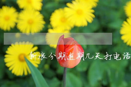 新浪分期逾期几天打电话来 新浪分期逾期几天打电话来