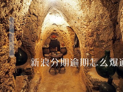新浪分期逾期怎么爆通讯录 新浪分期逾期怎么爆通讯录