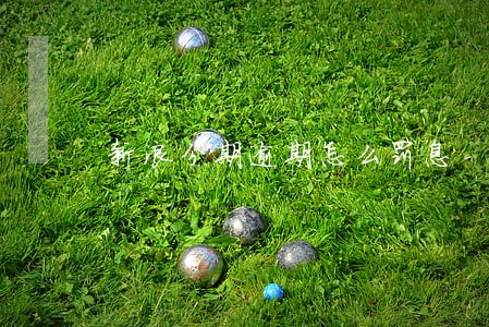 新浪分期逾期怎么罚息 新浪分期逾期怎么罚息