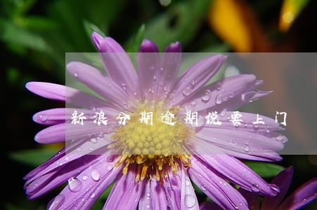新浪分期逾期说要上门 新浪分期逾期说要上门