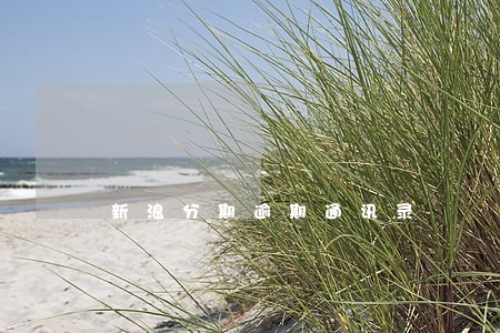 新浪分期逾期通讯录 新浪分期逾期通讯录