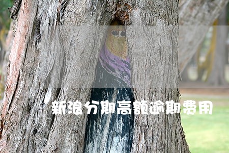 新浪分期高额逾期费用 新浪分期高额逾期费用