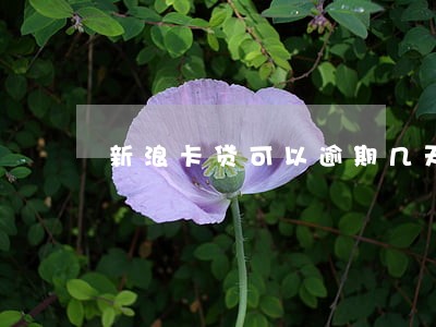 新浪卡贷可以逾期几天 新浪卡贷可以逾期几天