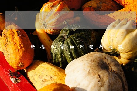 新浪卡贷如何逾期还款 新浪卡贷如何逾期还款