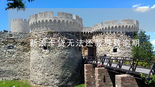 新浪卡贷无法还款导致逾期 新浪卡贷无法还款导致逾期
