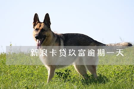 新浪卡贷玖富逾期一天 新浪卡贷玖富逾期一天