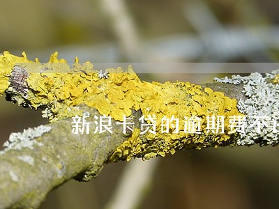 新浪卡贷的逾期费不还好吗 新浪卡贷的逾期费不还好吗