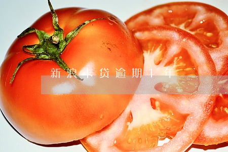 新浪卡贷逾期1年 新浪卡贷逾期1年
