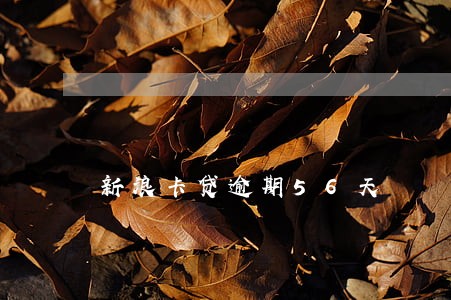 新浪卡贷逾期56天 新浪卡贷逾期56天