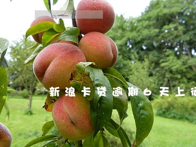 新浪卡贷逾期6天上征信吗 新浪卡贷逾期6天上征信吗