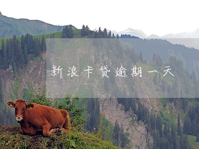 新浪卡贷逾期一天
