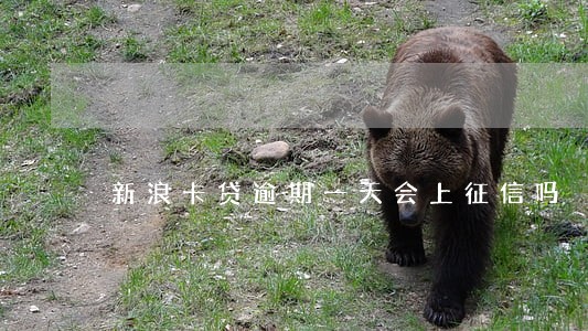 新浪卡贷逾期一天会上征信吗 新浪卡贷逾期一天会上征信吗