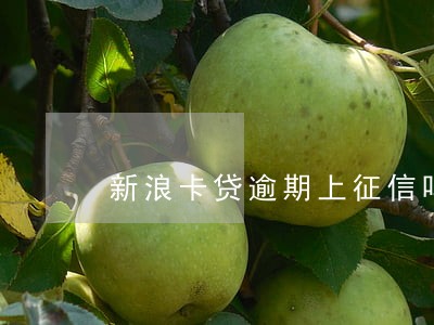 新浪卡贷逾期上征信吗 新浪卡贷逾期上征信吗