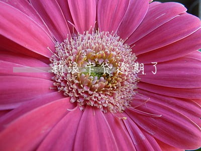 新浪卡贷逾期了 新浪卡贷逾期了