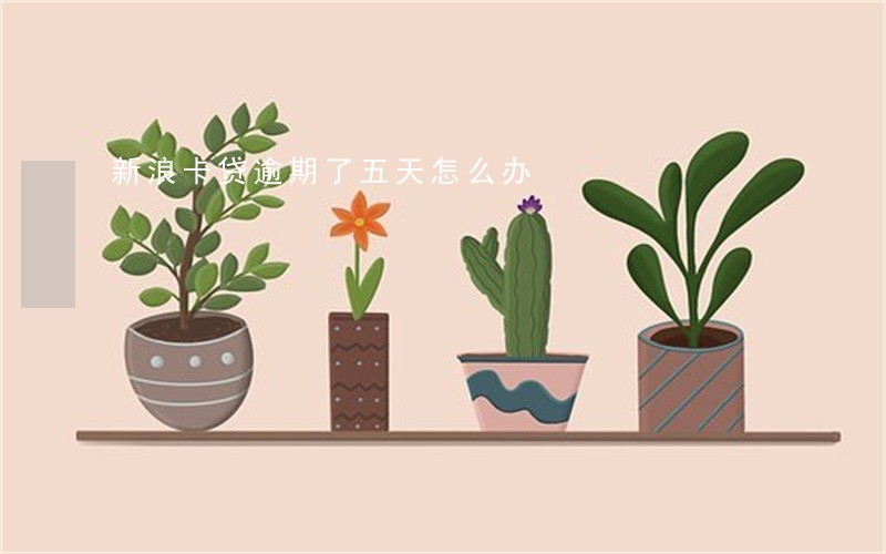 新浪卡贷逾期了五天怎么办 新浪卡贷逾期了五天怎么办