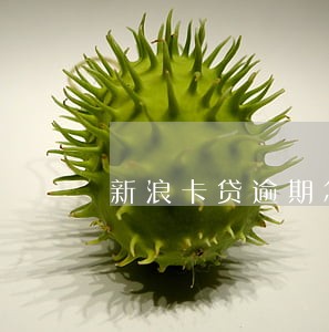 新浪卡贷逾期怎么处理 新浪卡贷逾期怎么处理