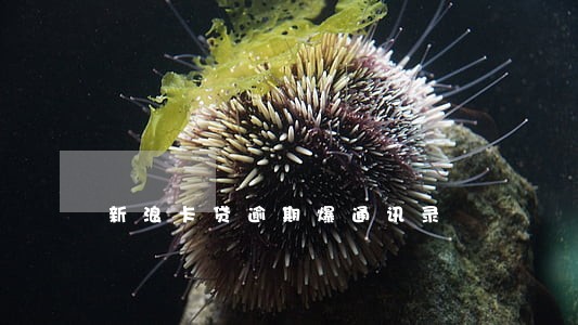 新浪卡贷逾期爆通讯录 新浪卡贷逾期爆通讯录