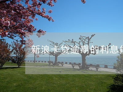 新浪卡贷逾期的利息能消吗 新浪卡贷逾期的利息能消吗