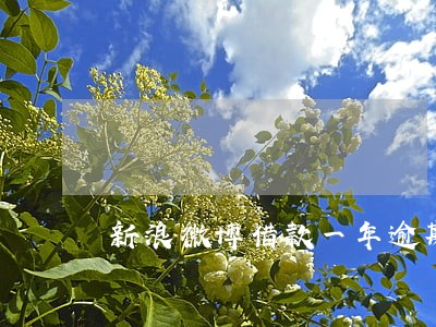 新浪微博借款一年逾期 新浪微博借款一年逾期