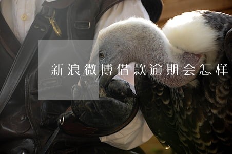 新浪微博借款逾期会怎样