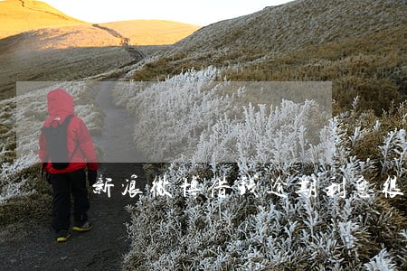 新浪微博借钱逾期利息很高 新浪微博借钱逾期利息很高