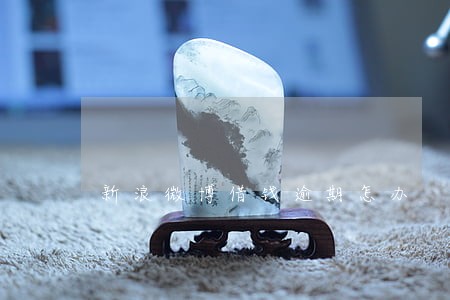 新浪微博借钱逾期怎办 新浪微博借钱逾期怎办