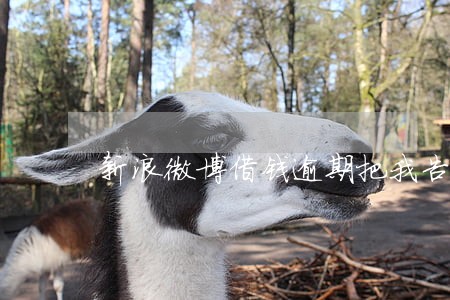 新浪微博借钱逾期把我告了 新浪微博借钱逾期把我告了