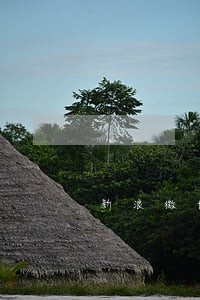 新浪微博借钱逾期费咋那么高 新浪微博借钱逾期费咋那么高