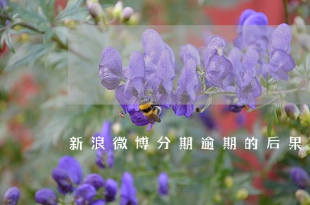 新浪微博分期逾期的后果 新浪微博分期逾期的后果