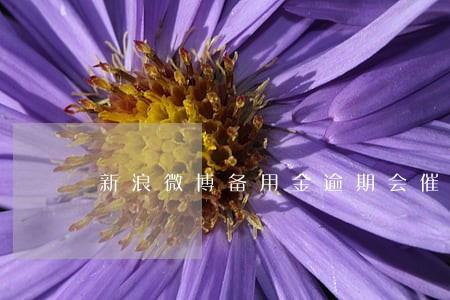 新浪微博备用金逾期会催吗 新浪微博备用金逾期会催吗