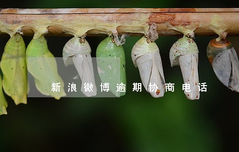 新浪微博逾期协商电话 新浪微博逾期协商电话