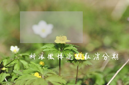 新浪微博逾期取消分期 新浪微博逾期取消分期