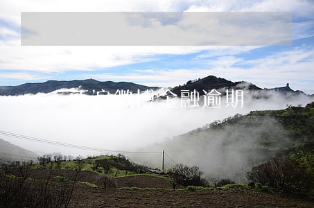 新浪微博金融逾期